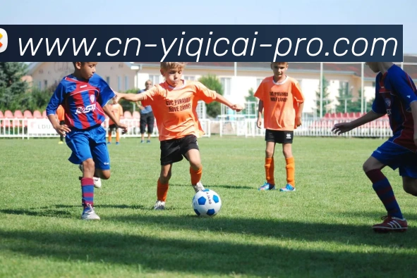 一起彩平台生态图